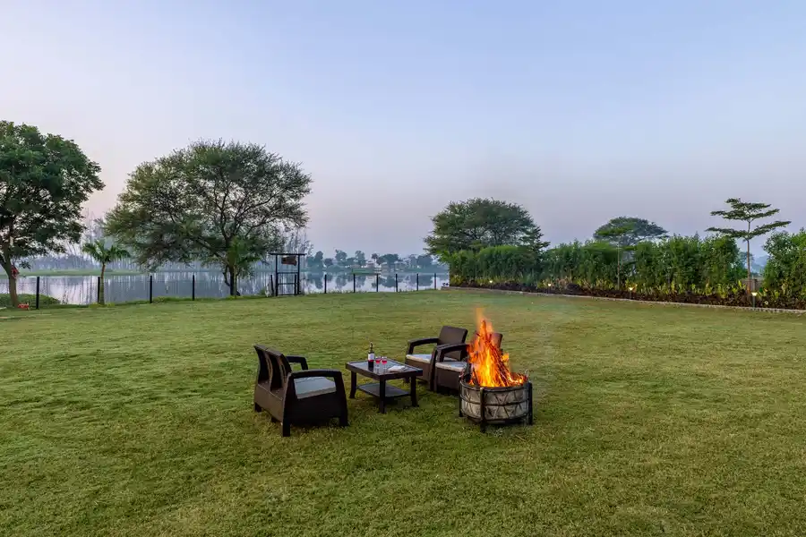 Lotus by the lake, Indore