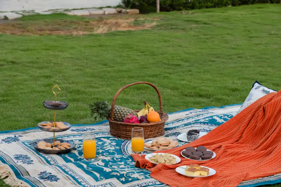 Lush Haven, Jaipur