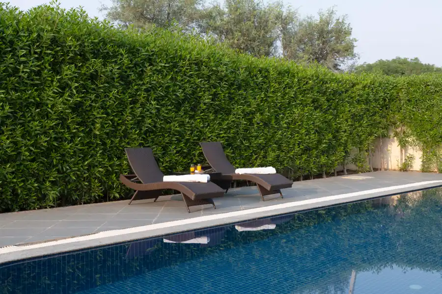 Lush Haven, Jaipur