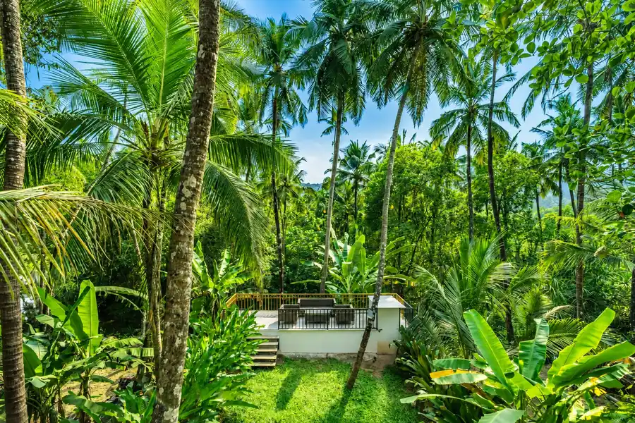 Maison 10, North Goa
