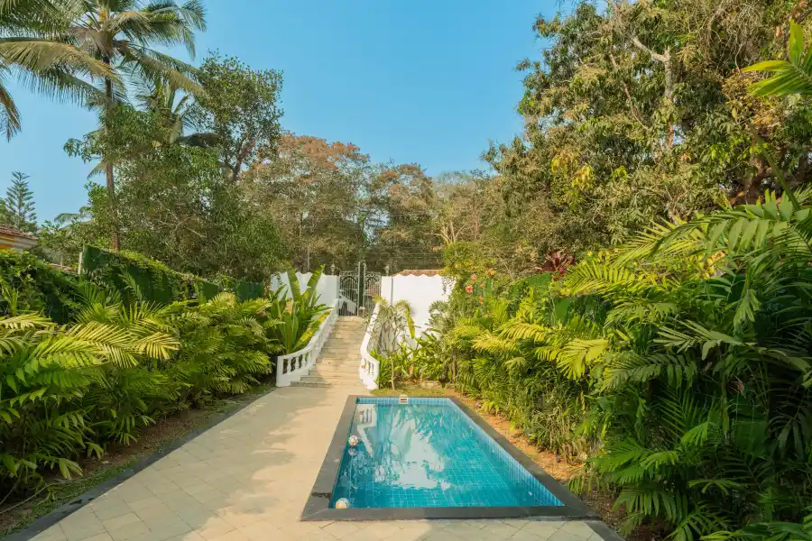 Maison 10, North Goa