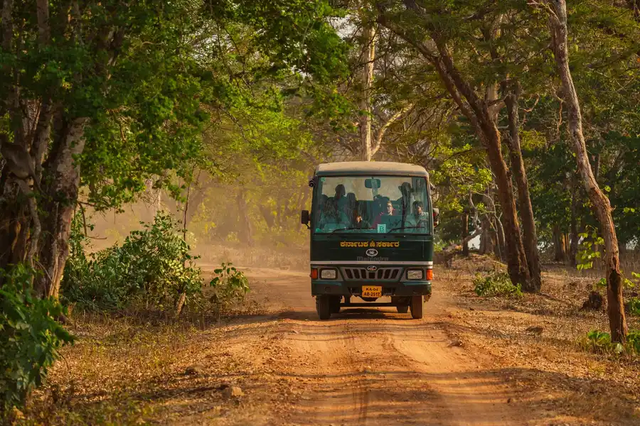 Majestic @ Exotica Kabini, Kabini