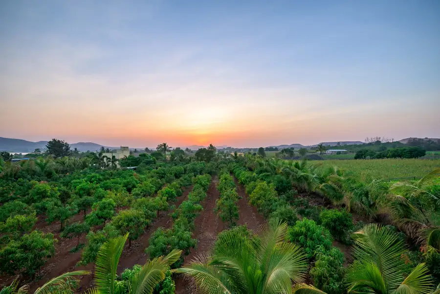 Mango Lakeview Villa, Nashik