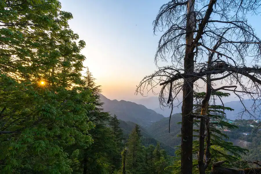 Mellow Cottage, Mussoorie