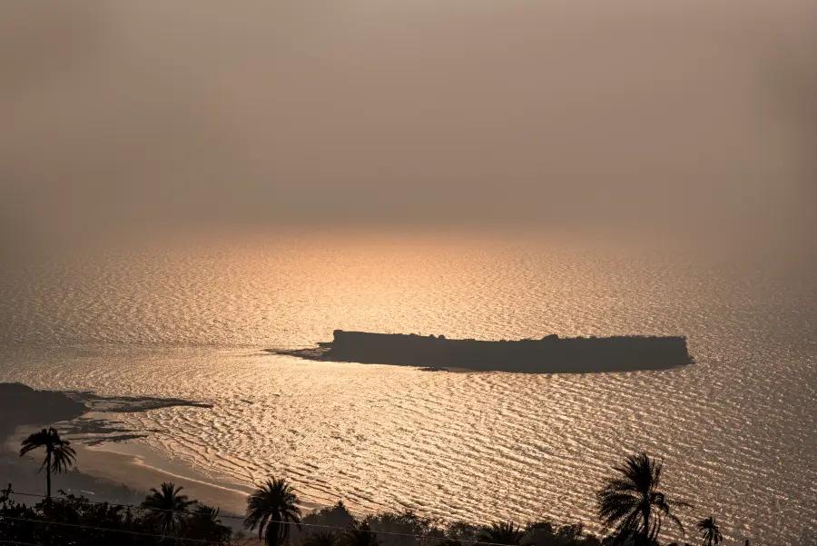 Mimosa Sunsets, Dapoli