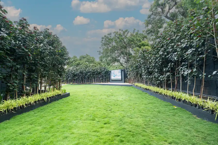Mira Forrest, Chennai