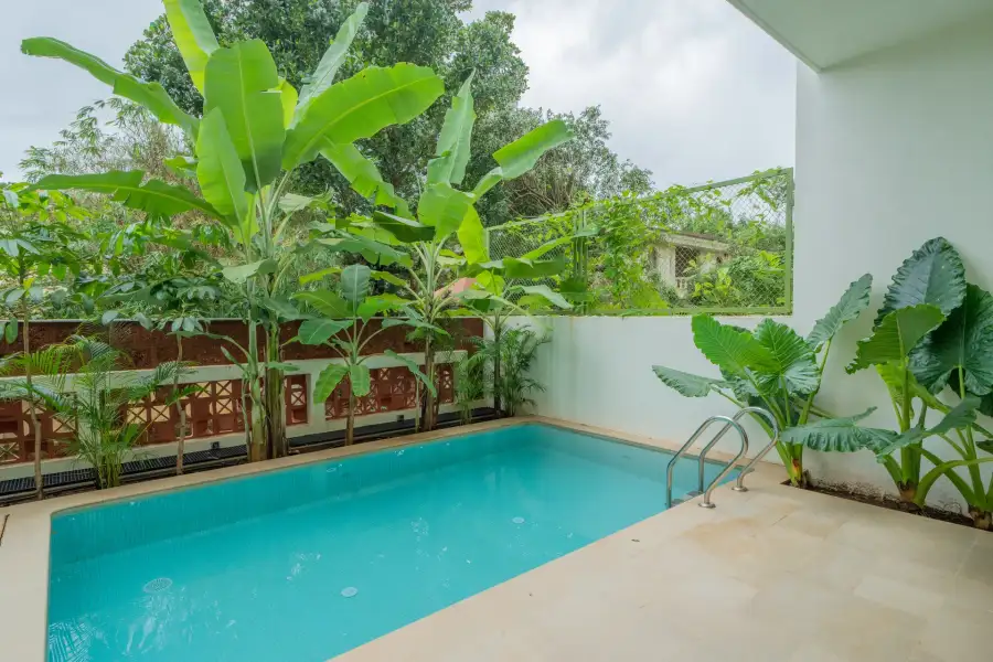 Mirai Gemini, North Goa