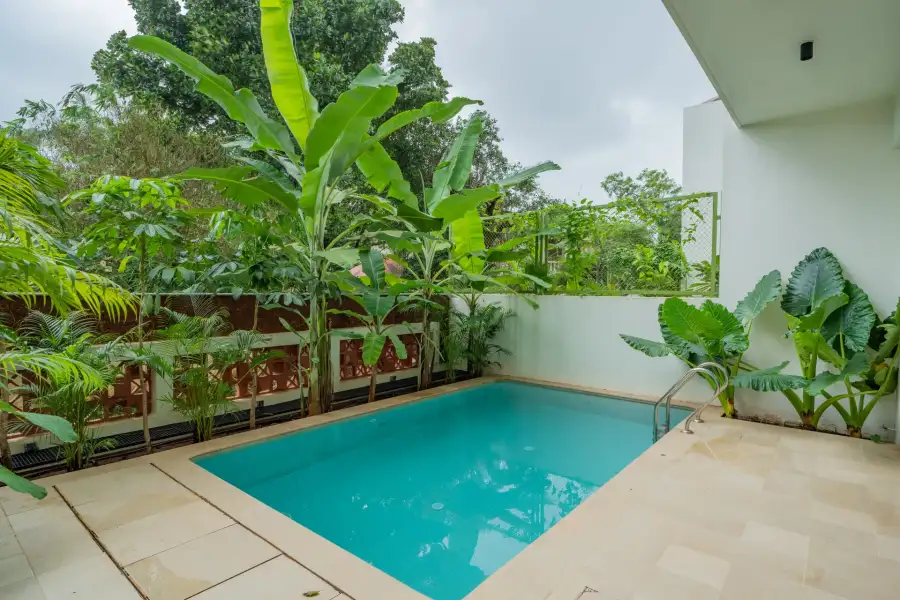 Mirai Gemini, North Goa