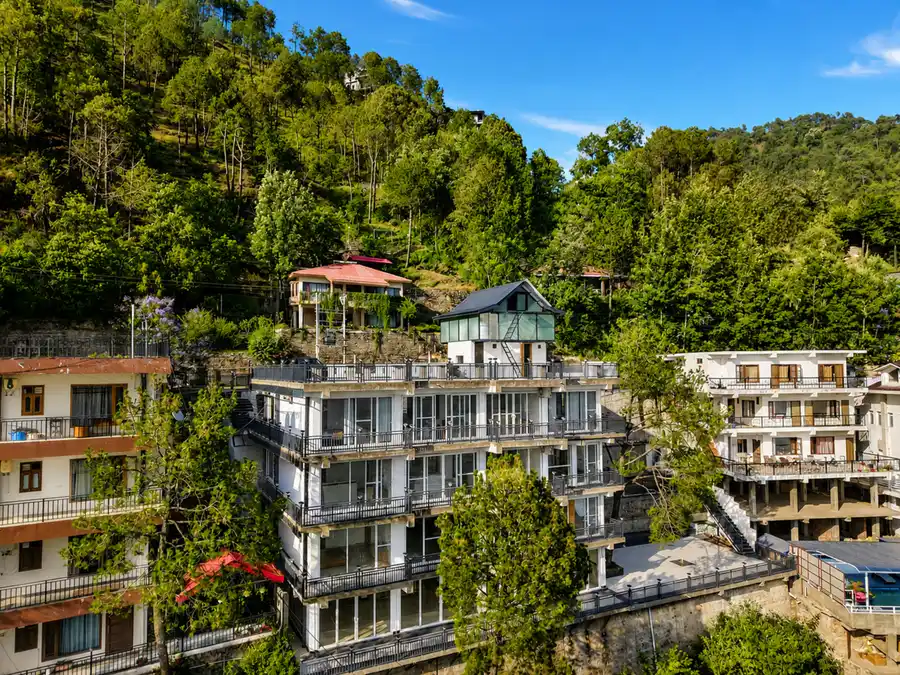 Mist & Manor Maple, Kasauli