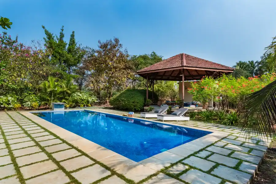 Mograa laffaire, Alibaug