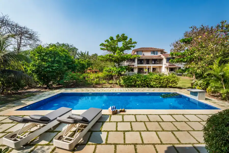 Mograa laffaire, Alibaug