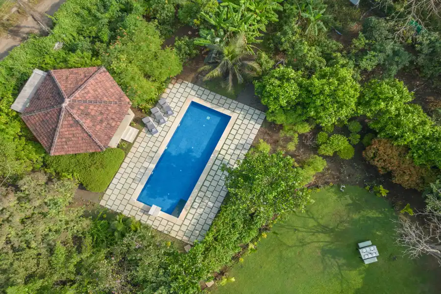 Mograa laffaire, Alibaug