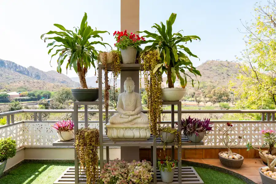 Mountain Creek, Udaipur