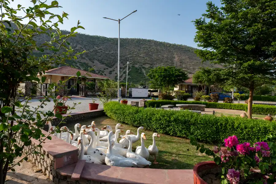 MS Valley Blossoms, Alwar