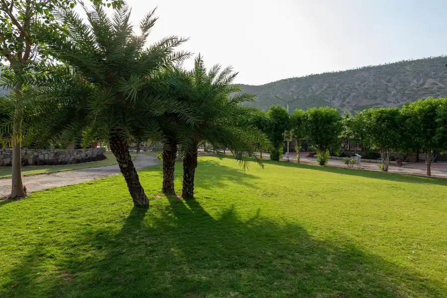 MS Valley Blossoms, Alwar