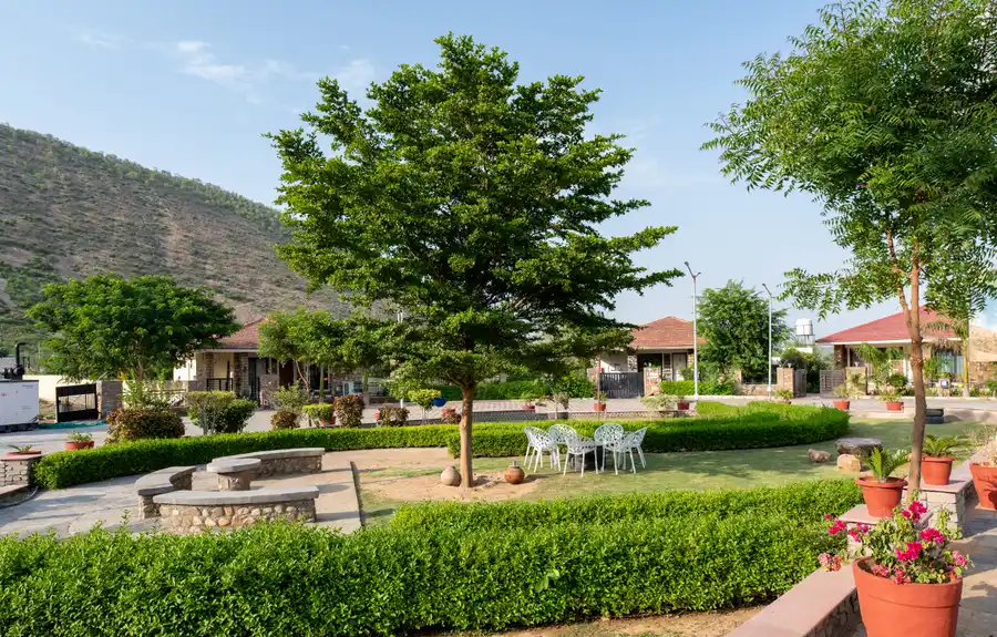 MS Valley Groves, Alwar