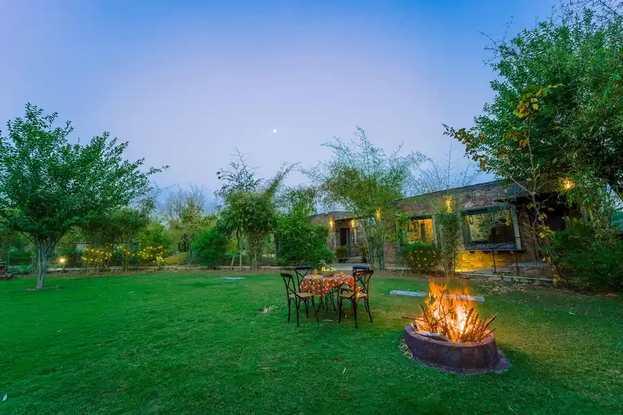 Mulberry Tree House, Jaipur