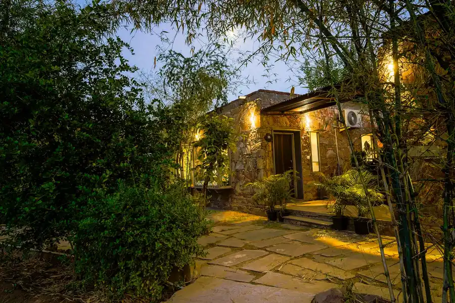 Mulberry Tree House, Jaipur