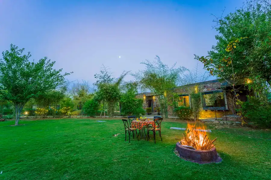 Mulberry Tree House, Jaipur