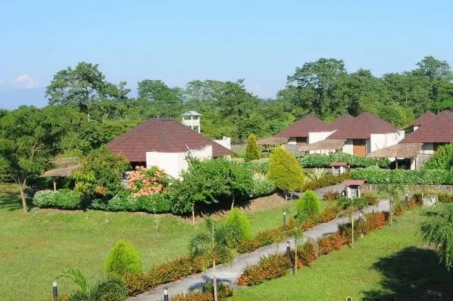 Musa Jungle Retreat Cottage | Rooms & Restaurant Facade