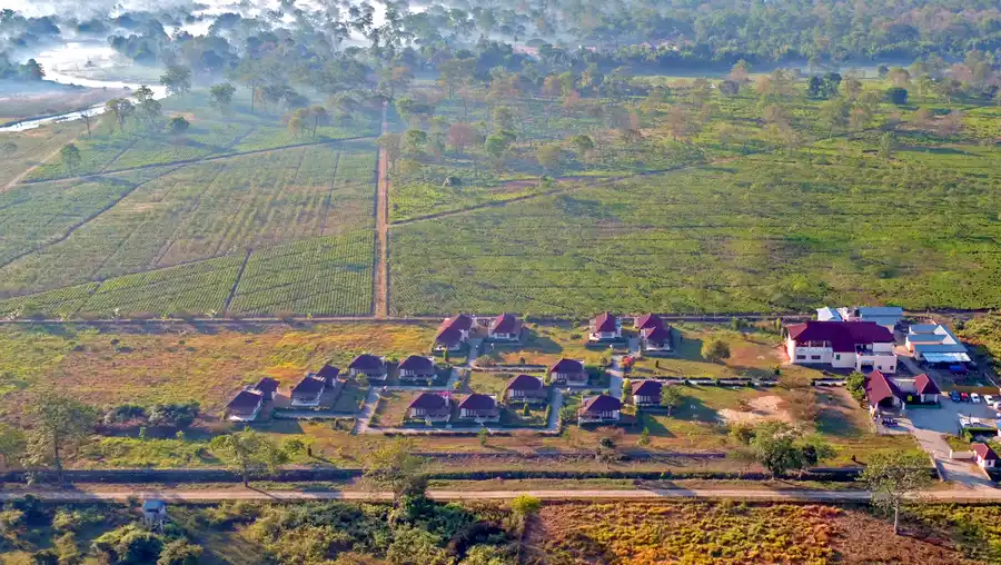 Musa Jungle Retreat Cottage | Rooms & Restaurant Views