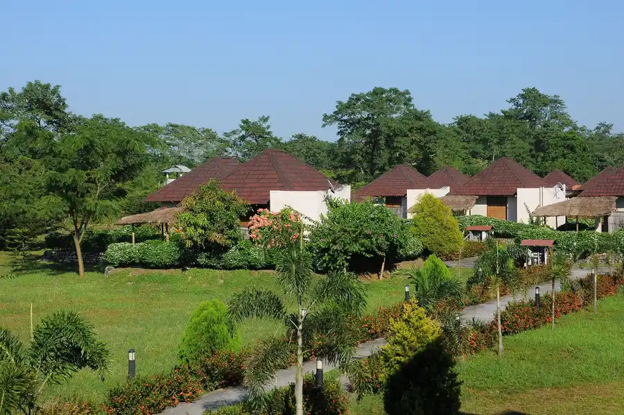 Musa Jungle Retreat Cottage | Rooms & Restaurant Views