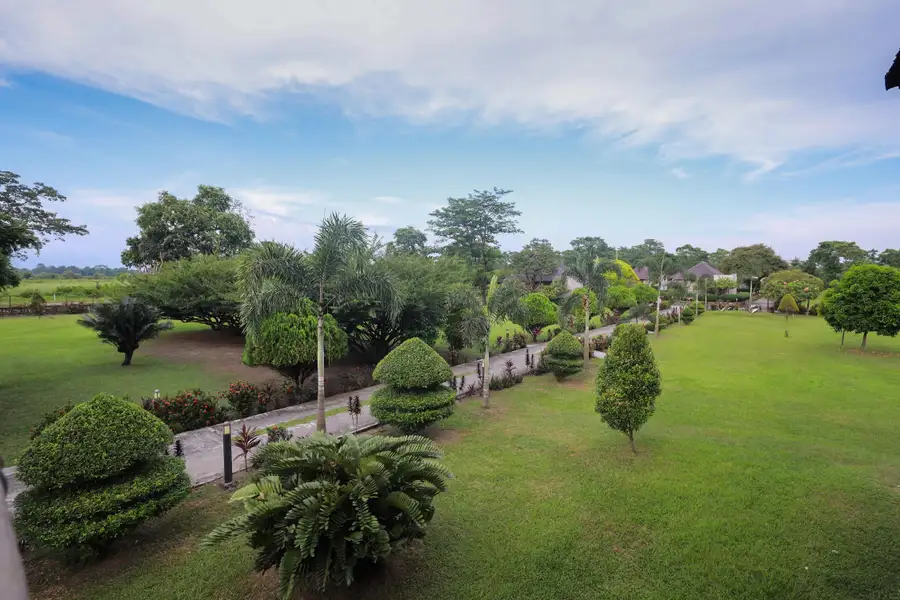 Musa Jungle Retreat Cottage | Rooms & Restaurant Garden