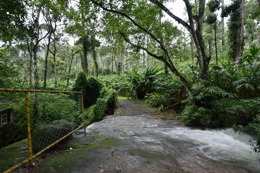 Mystic Mayapott Entrance