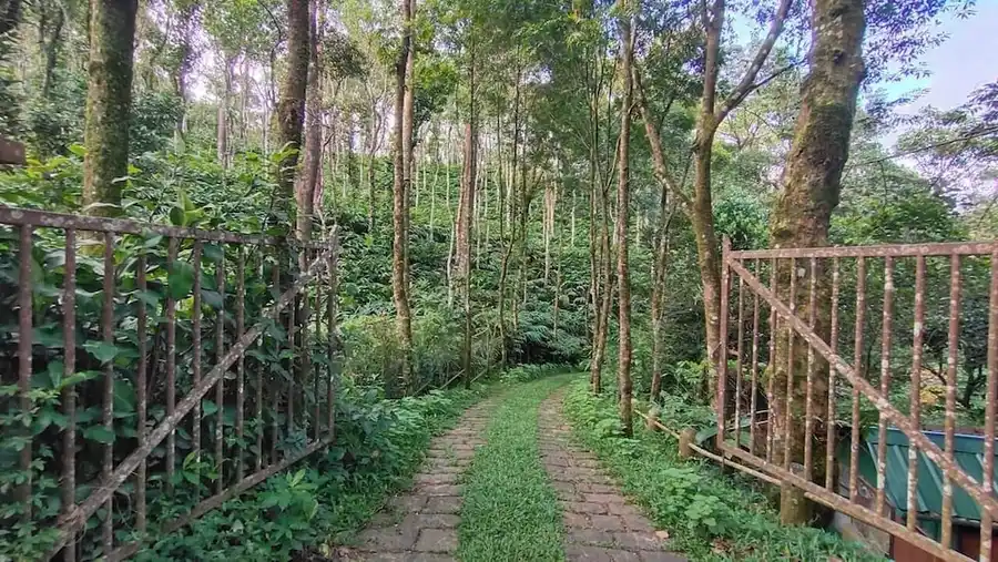 Mystic Mayapott Views