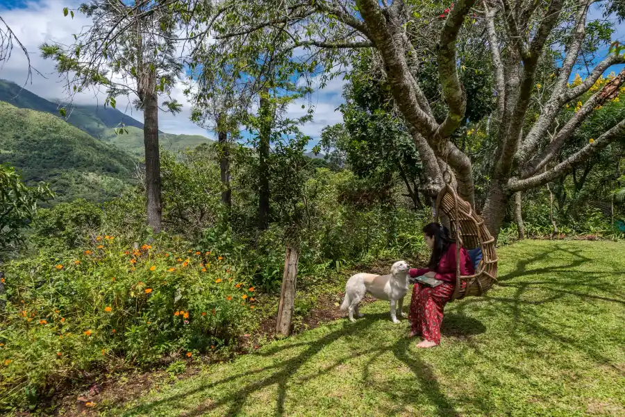 Nandanvan Estate, Kodaikanal