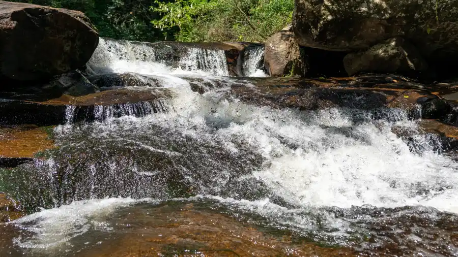 Nandanvan Estate, Kodaikanal