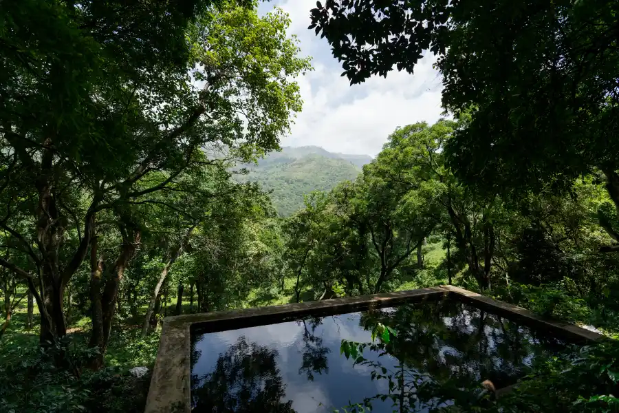 Nandanvan Estate, Kodaikanal