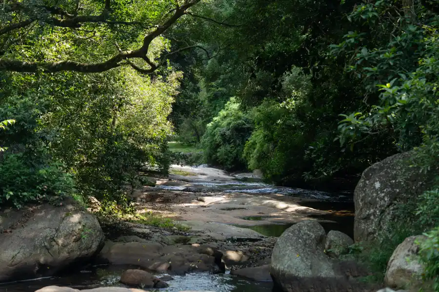 Nandanvan Estate, Kodaikanal