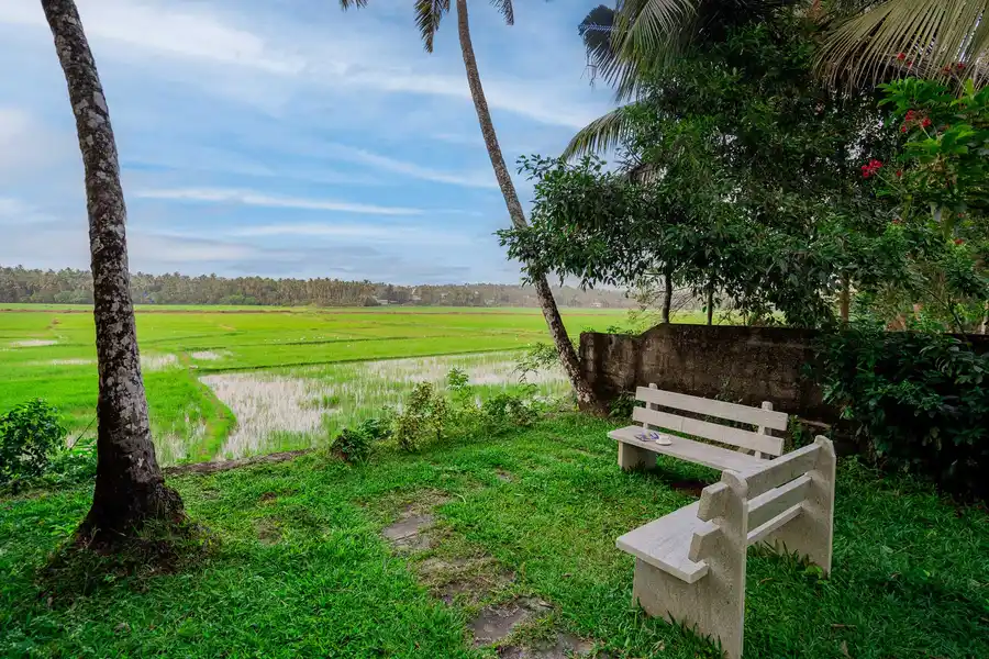 Nature’s Nook, Thrissur