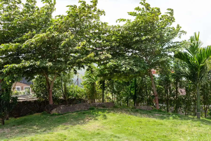 Necklace Point, Bhor