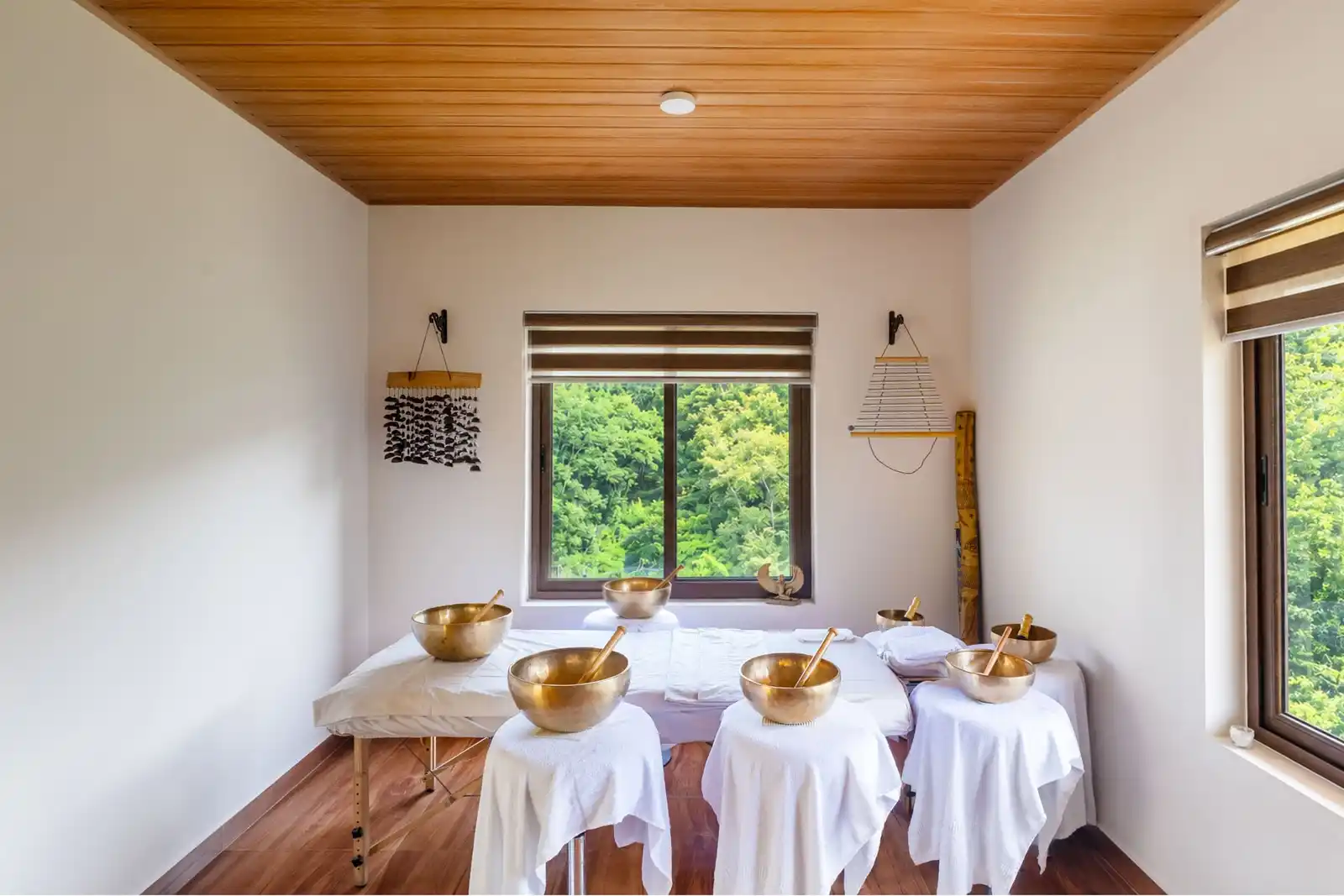 Nisarga Villa, Wayanad