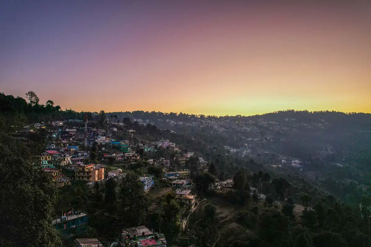 Olive @ Whispering Valley, Ranikhet