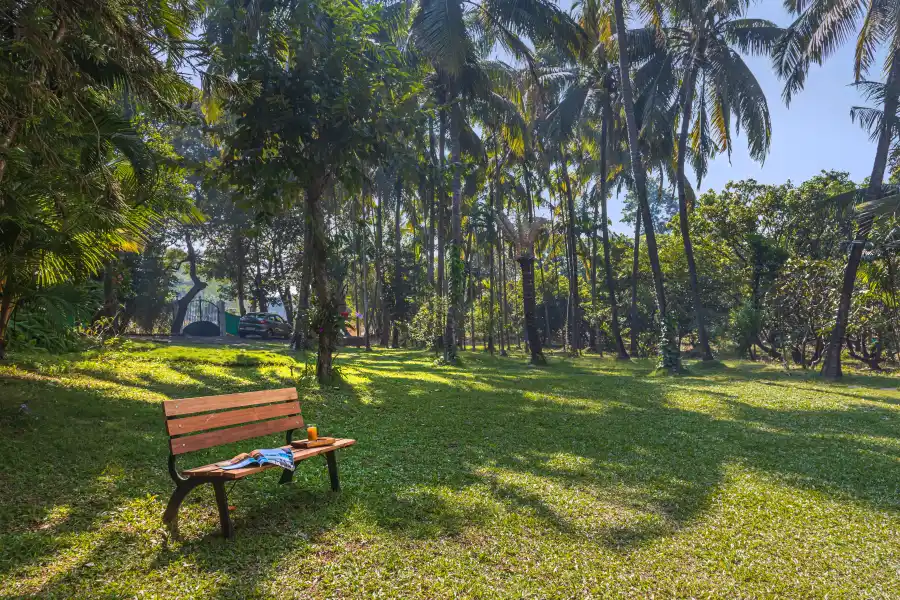 Oriana, Alibaug