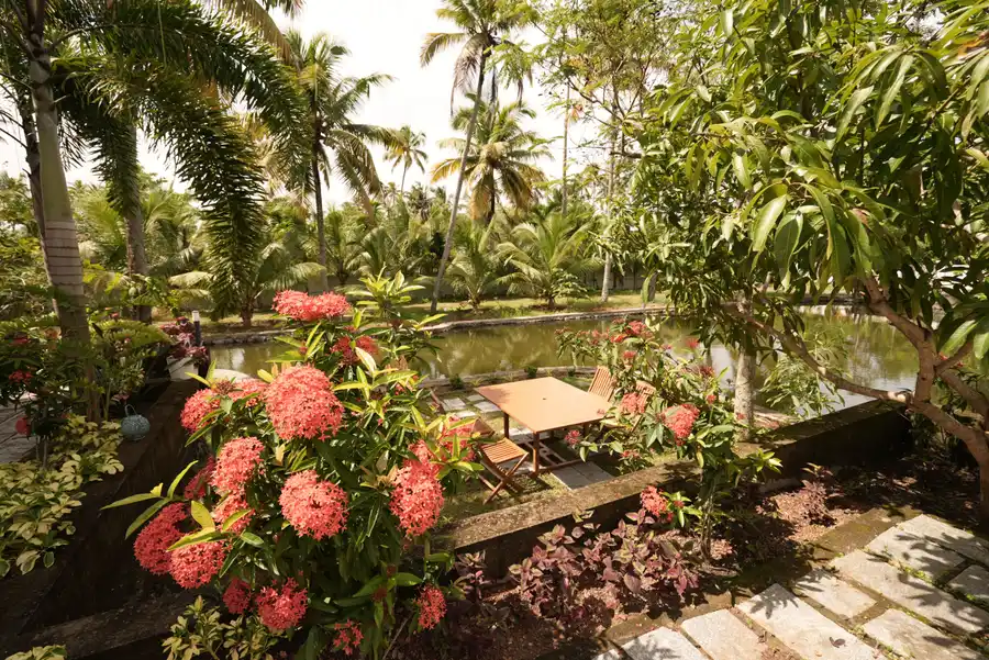 Palliath House |3-BHK With, Living Lounge, Patio, Shared Lawn and 3 Natural Ponds, Alappuzha