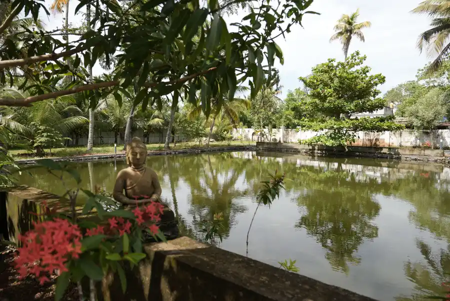 Palliath House |3-BHK With, Living Lounge, Patio, Shared Lawn and 3 Natural Ponds, Alappuzha