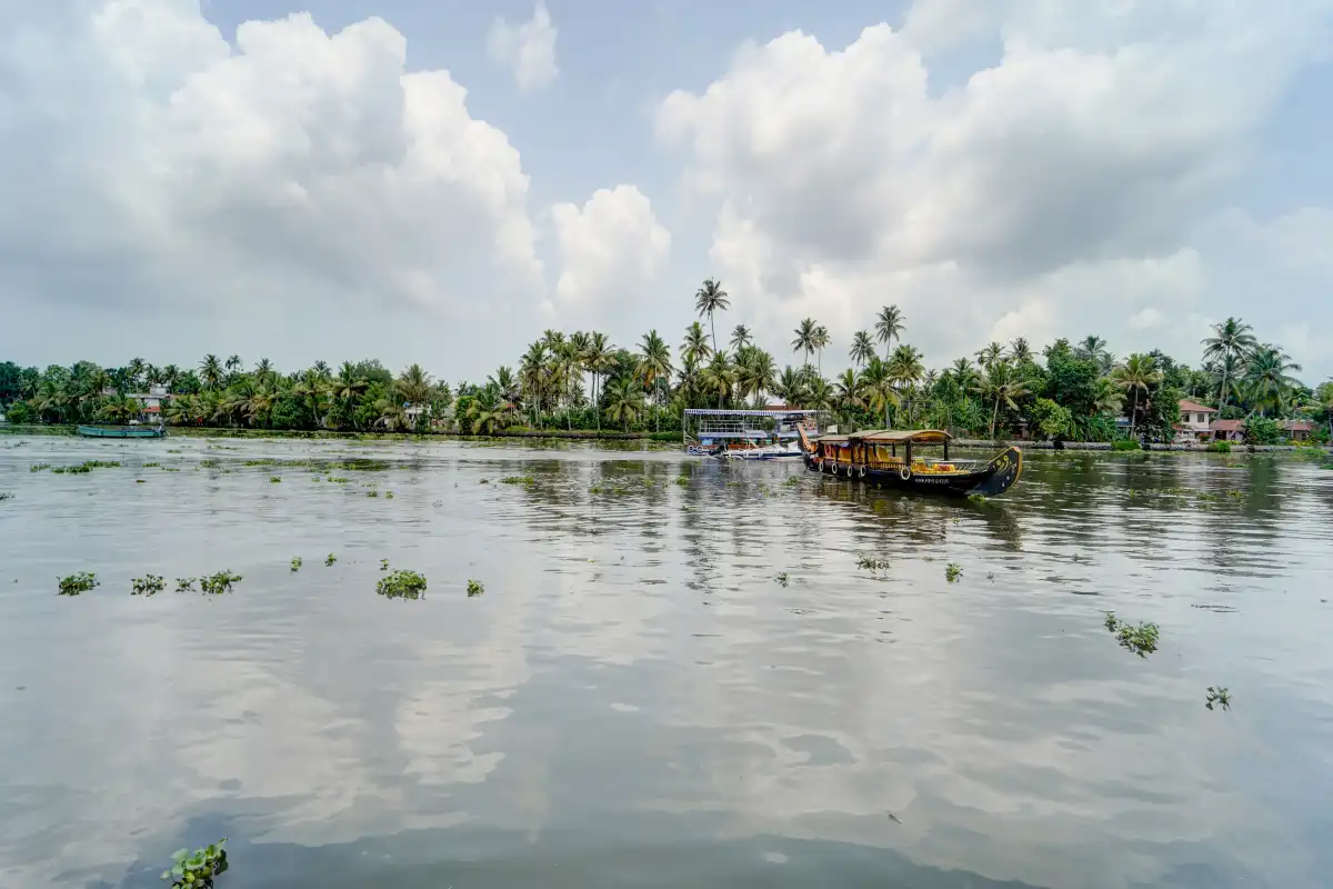 Palm Dale Premium Room, Alappuzha