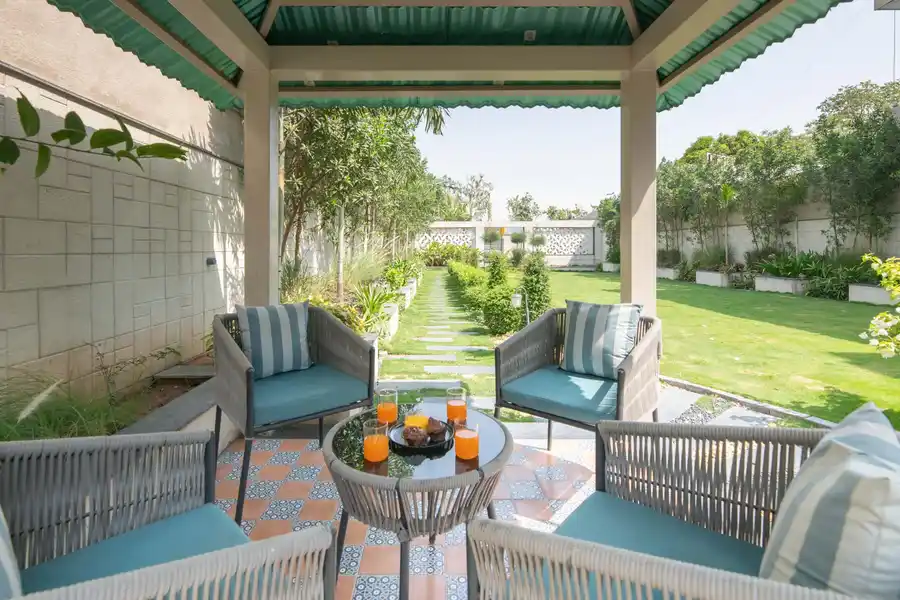 Palm Tree Breeze, Jaipur