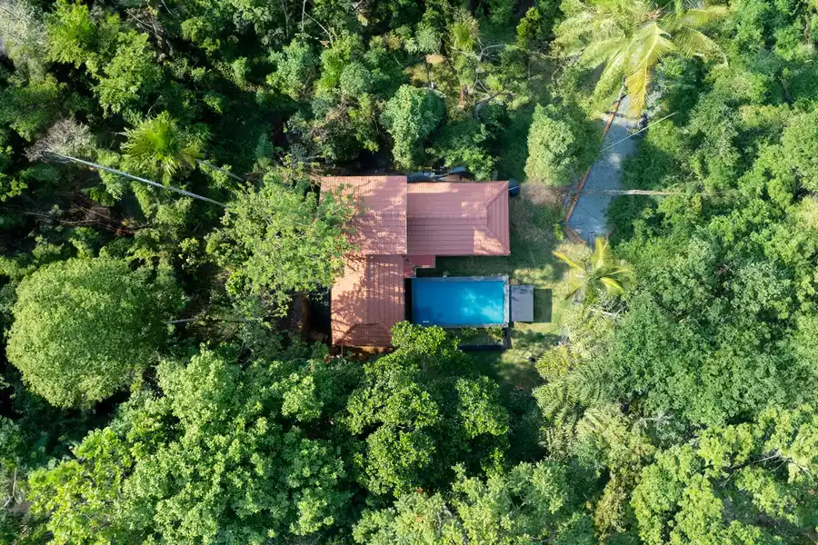 Palm Tree Homes, Wayanad