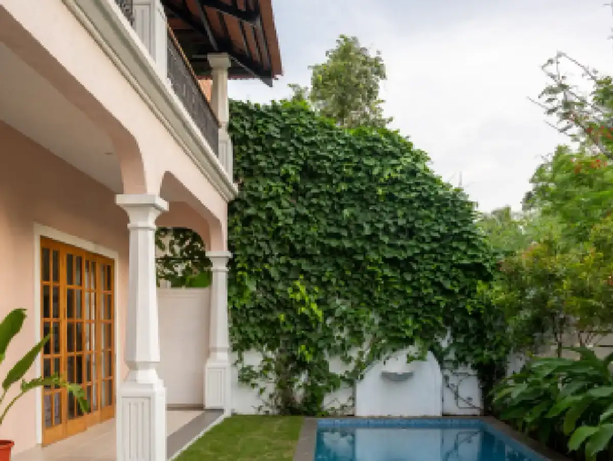 Panache, North Goa