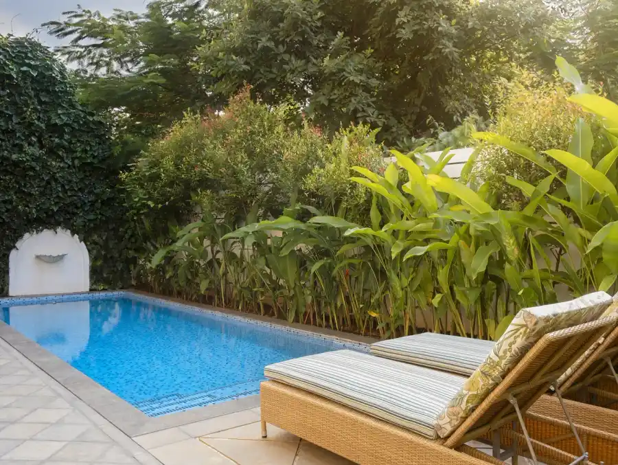 Panache, North Goa