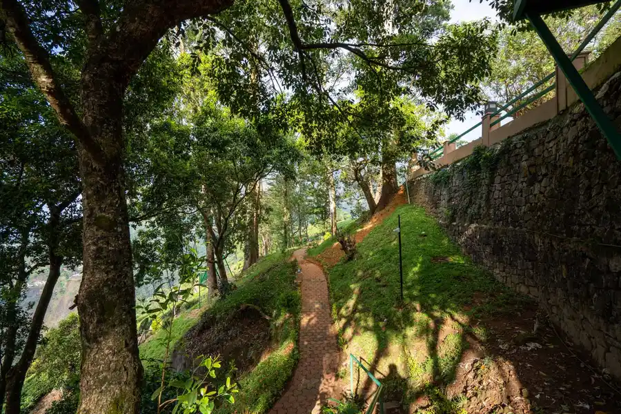 Paradise Valley, Munnar
