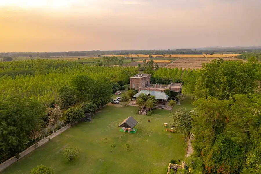 Peacocks & Partridges, Hoshiarpur