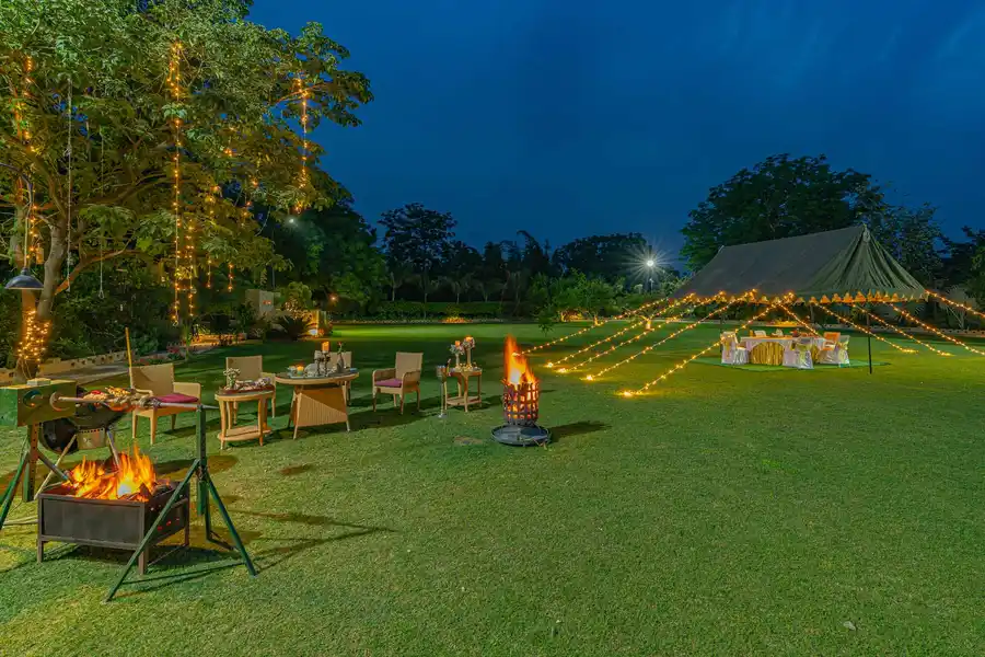 Peacocks & Partridges, Hoshiarpur