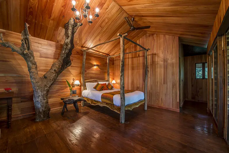 Pepper Trail Room