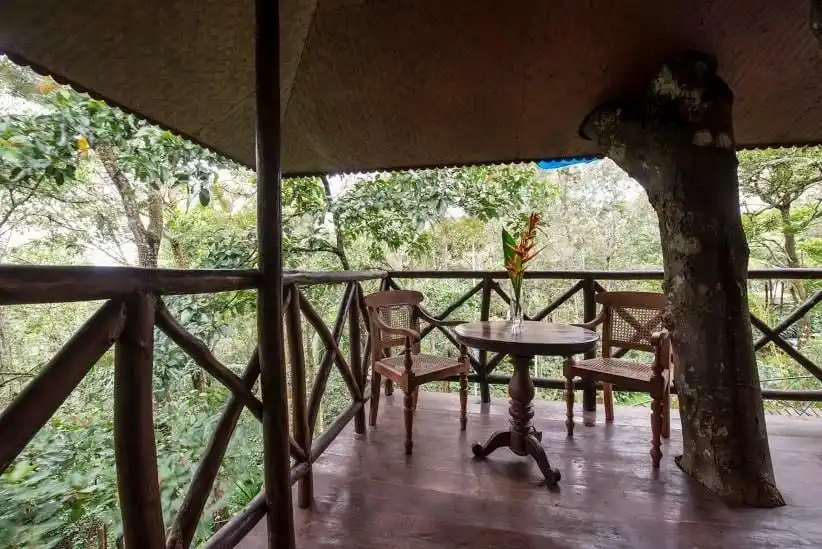 Pepper Trail Experiences